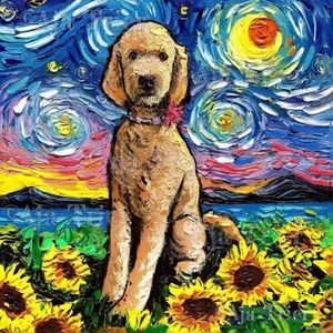 Meet your Posher, Paula